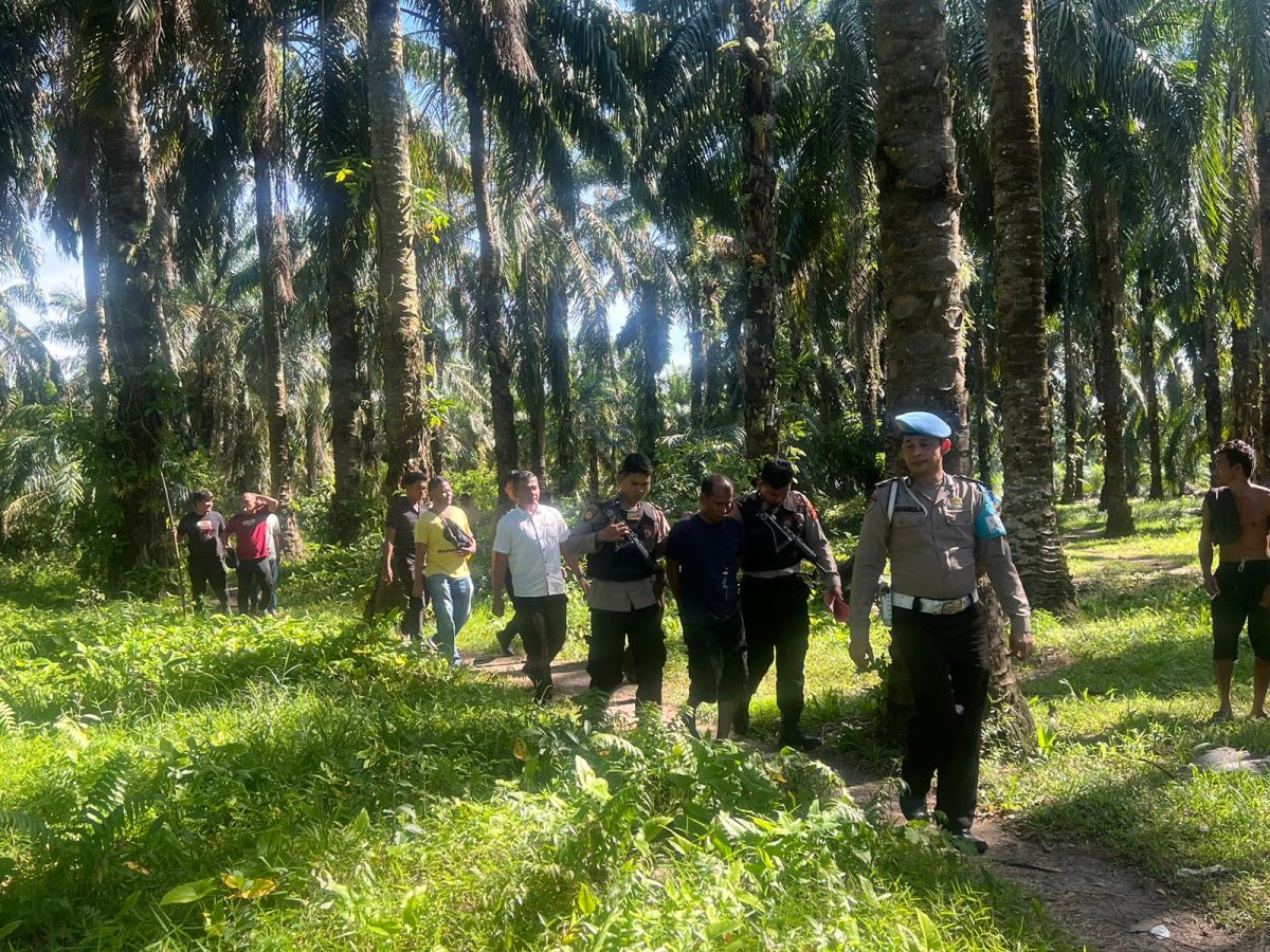 Polisi Gerebek Kampung Narkoba di Areal Perkebunan Sawit