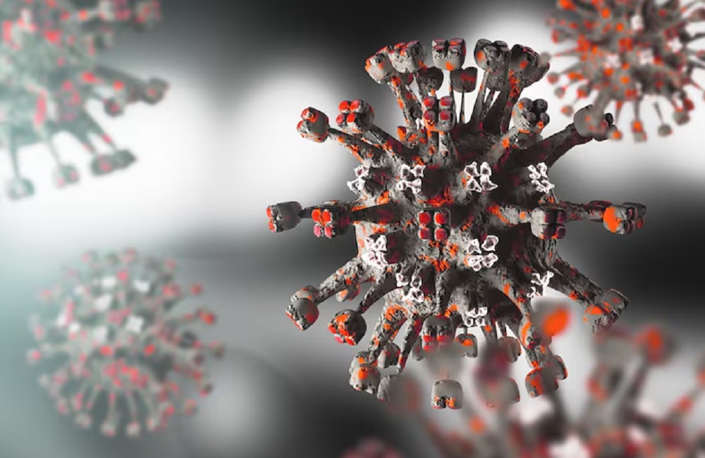 Virus Oropouche Menyebar di Brasil