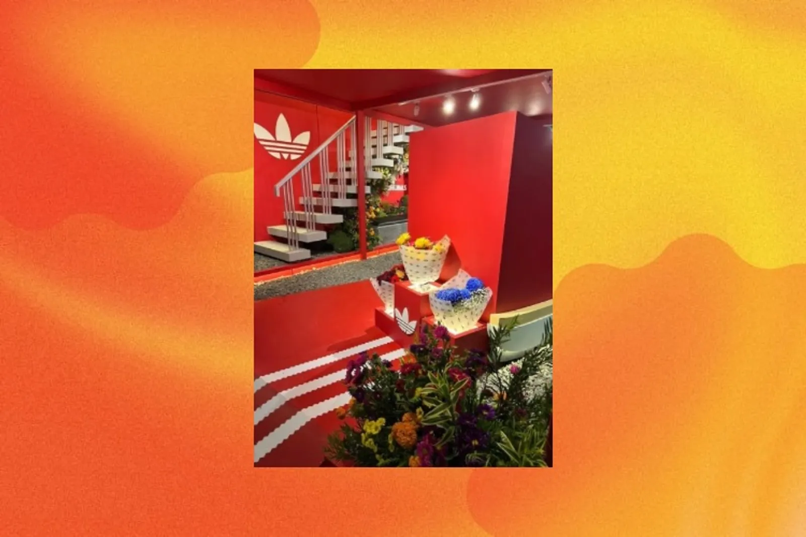 We The Fest 2024 Adidas