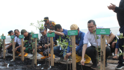 Kelompok Peduli Mangrove Dumai