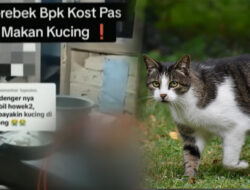 Bahaya Makan Daging Kucing: Fakta dan Risiko Kesehatan