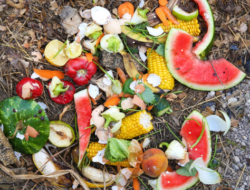 5 Bahaya Sampah Organik Terhadap Lingkungan, Termasuk Pencemaran Air