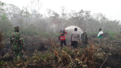Kebakaran Hutan di Riau