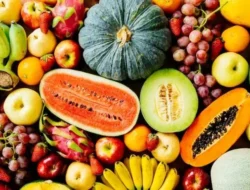Penderita Penyakit Ginjal Dilarang Konsumsi 10 Buah Ini