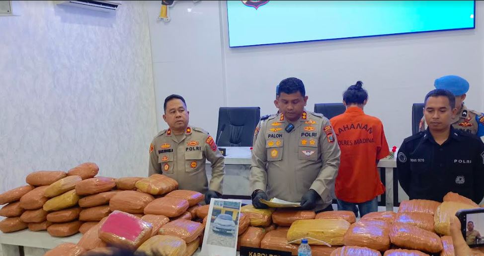 Peredaran Ganja Kering