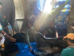 Pencarian Nelayan yang Diterkam Buaya Berakhir Tragis, Korban Meninggal Dunia