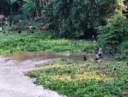 Warga Kediri Raup Rezeki Musiman dari Melimpahnya Ikan di Sungai Brantas
