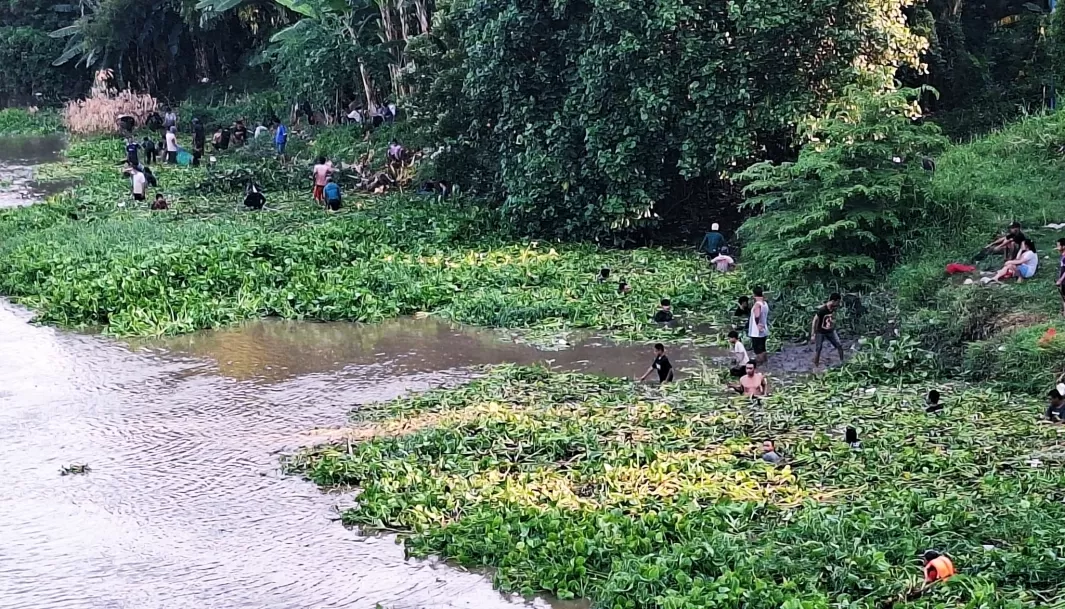 Ikan Pladu Sungai Brantas